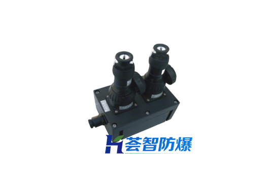 BXX8050系列防爆電源插座箱（可定制）